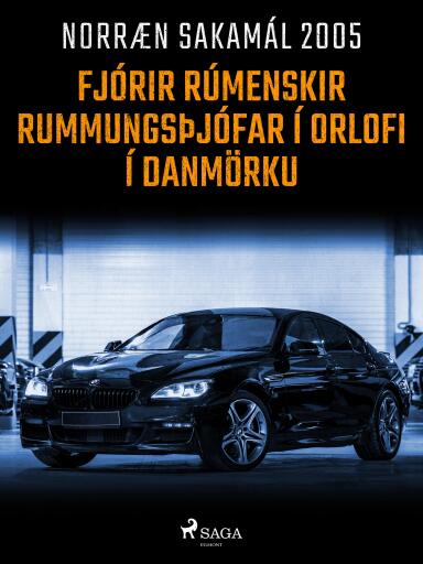 Portada del libro «Fjórir rúmenskir rummungsþjófar í orlofi í Danmörku», de Forfattere Diverse