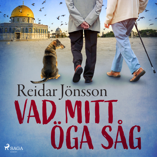 Portada del audiolibro «Vad mitt öga såg», de Reidar Jönsson