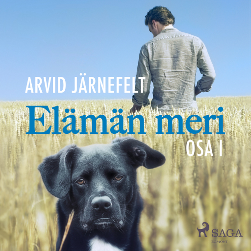 Portada del audiolibro «Elämän meri, osa 1», de Arvid Järnefelt