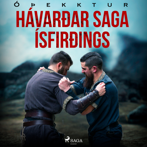 Portada del audiolibro «Hávarðar saga Ísfirðings», de Óþekktur