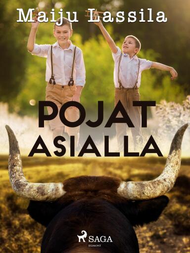 Portada del libro «Pojat asialla», de Maiju Lassila