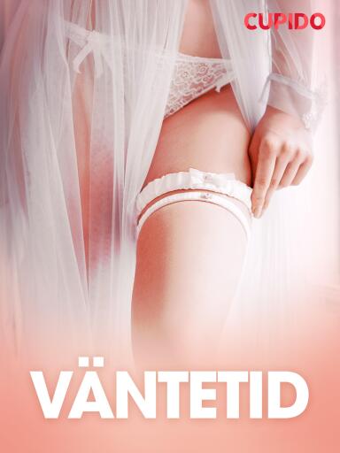 Portada del libro «Väntetid - erotiska noveller», de Cupido