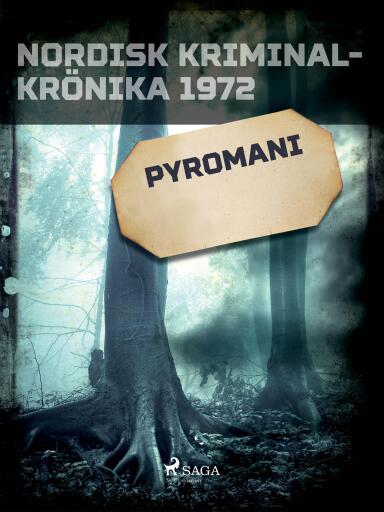 Portada del libro «Pyromani», de Diverse