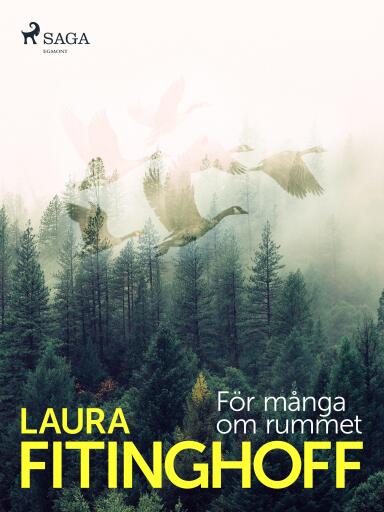 Portada del libro «För många om rummet», de Laura Fitinghoff