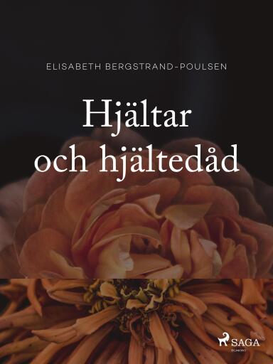 Portada del libro «Hjältar och hjältedåd», de Elisabeth Bergstrand Poulsen