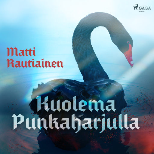 Portada del audiolibro «Kuolema Punkaharjulla», de Matti Rautiainen