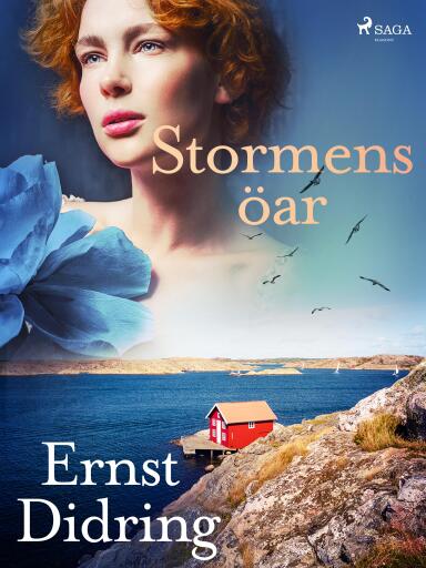 Portada del libro «Stormens öar», de Ernst Didring