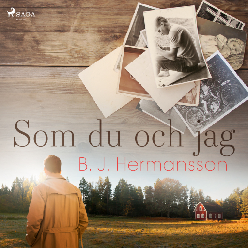 Portada del audiolibro «Som du och jag», de B. J. Hermansson