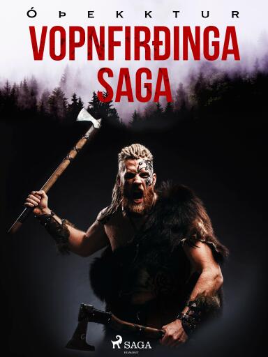 Portada del libro «Vopnfirðinga saga», de Óþekktur