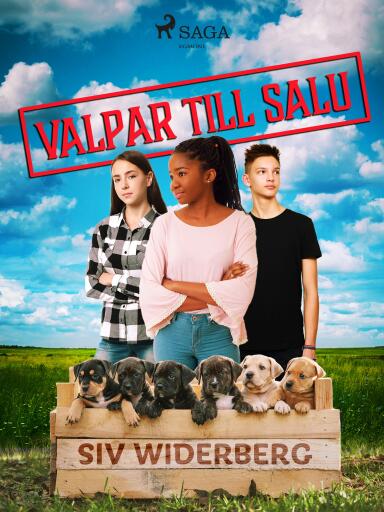 Portada del libro «Valpar till salu», de Siv Widerberg