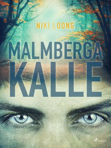 Portada del libro «Malmbergakalle», de Niki Loong