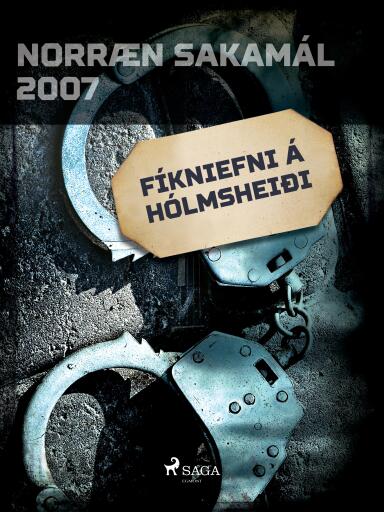 Portada del libro «Fíkniefni á Hólmsheiði», de Forfattere Diverse