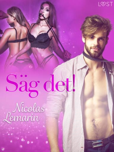 Säg det! - erotisk novell