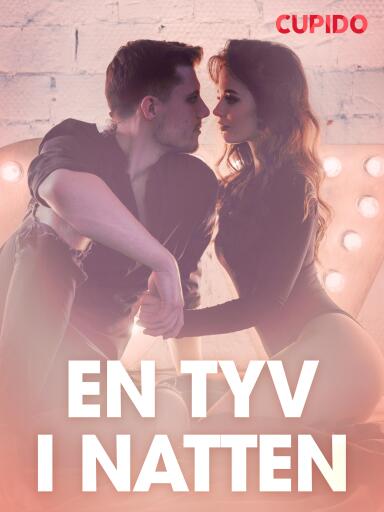 Portada del libro «En tyv i natten – erotiske noveller», de Cupido