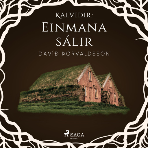Portada del audiolibro «Kalviðir: Einmana sálir», de Davíð Þorvaldsson
