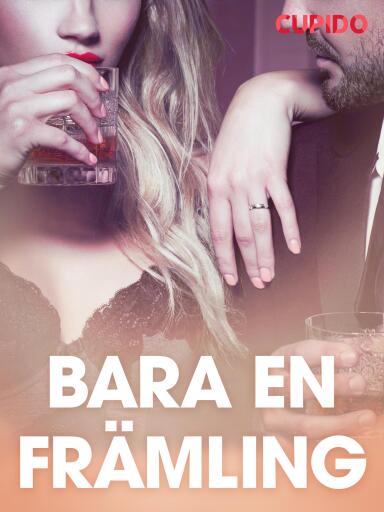 Portada del libro «Bara en främling - erotiska noveller», de Cupido