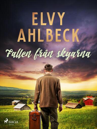 Portada del libro «Fallen från skyarna», de Elvy Ahlbeck