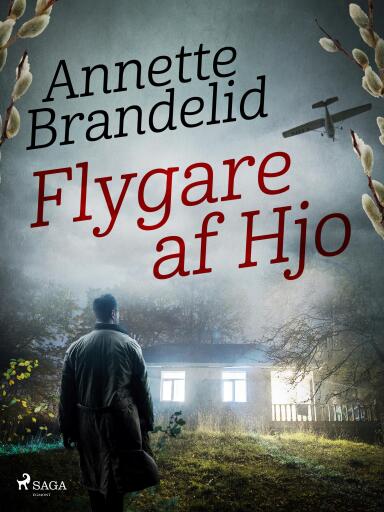 Portada del libro «Flygare af Hjo», de Annette Brandelid
