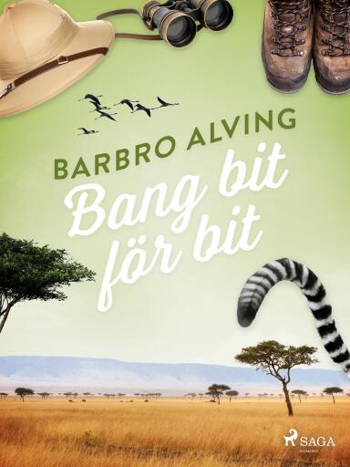 Portada del libro «Bang bit för bit», de Barbro Alving