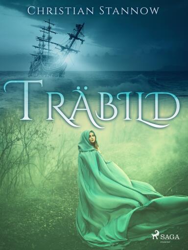 Portada del libro «Träbild», de Christian Stannow