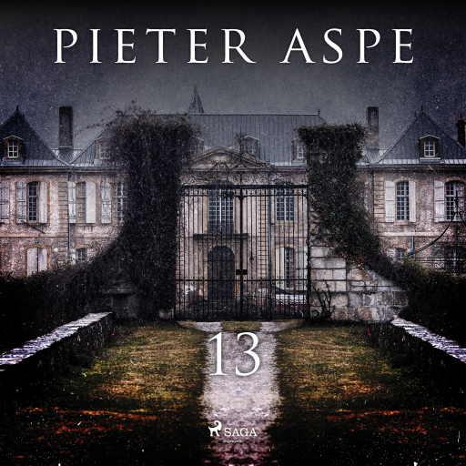 Portada del audiolibro «13», de Pieter Aspe