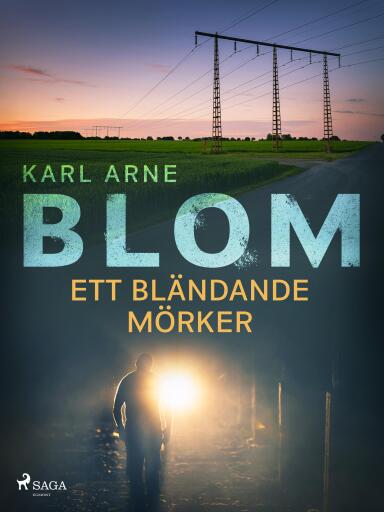 Portada del libro «Ett bländande mörker», de Karl Arne Blom