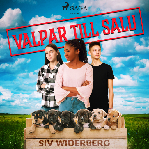 Portada del audiolibro «Valpar till salu», de Siv Widerberg