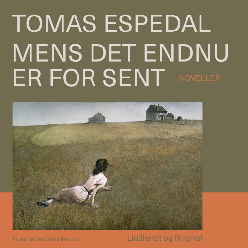Portada del audiolibro «Mens det endnu er for sent»