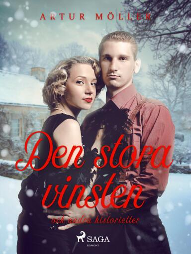 Portada del libro «Den stora vinsten», de Artur Möller