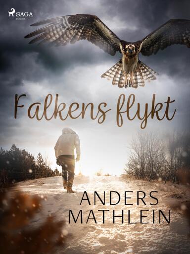 Portada del libro «Falkens flykt», de Anders Mathlein