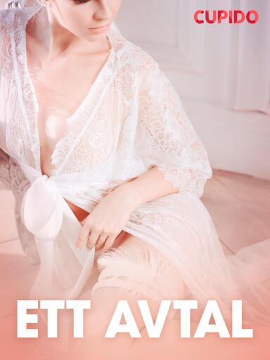 Portada del libro «Ett avtal - erotiska noveller», de Cupido