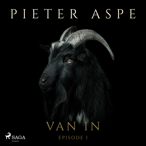 Portada del audiolibro «Van In - Episode 1», de Pieter Aspe