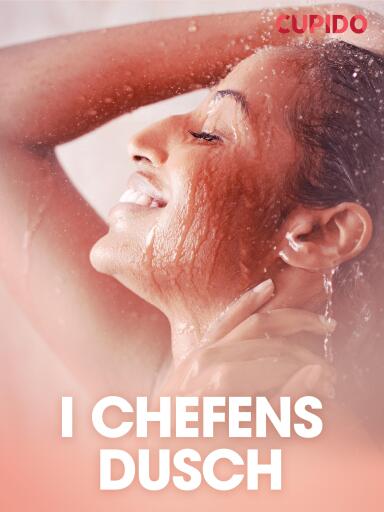 Portada del libro «I chefens dusch - erotiska noveller», de Cupido