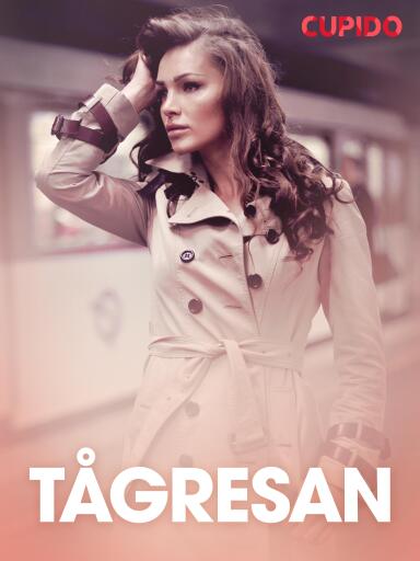 Portada del libro «Tågresan - erotiska noveller»