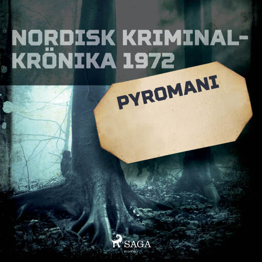 Portada del audiolibro «Pyromani»