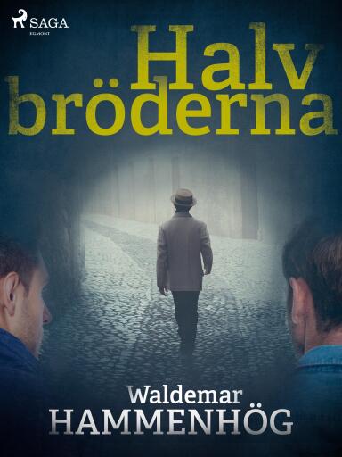 Portada del libro «Halvbröderna», de Waldemar Hammenhög