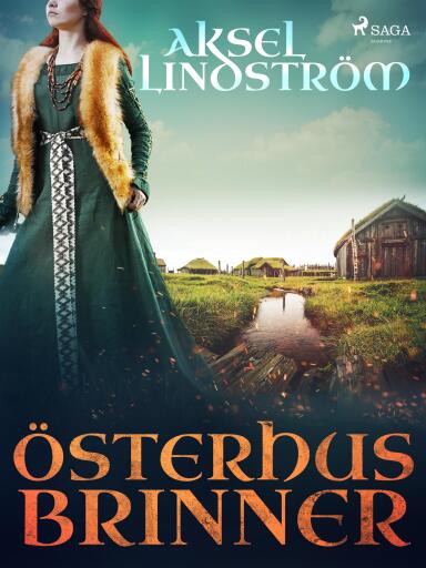 Portada del libro «Österhus brinner», de Aksel Lindström