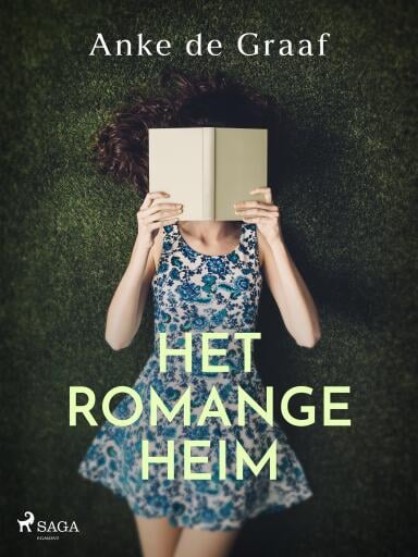 Portada del libro «Het romangeheim»