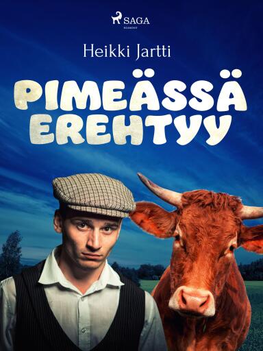 Portada del libro «Pimeässä erehtyy»