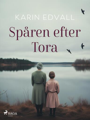 Portada del libro «Spåren efter Tora», de Karin Edvall