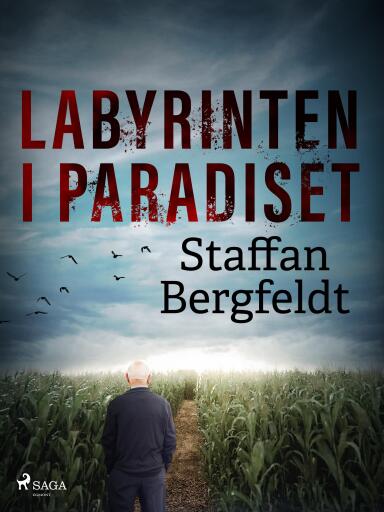 Portada del libro «Labyrinten i paradiset», de Staffan Bergfeldt