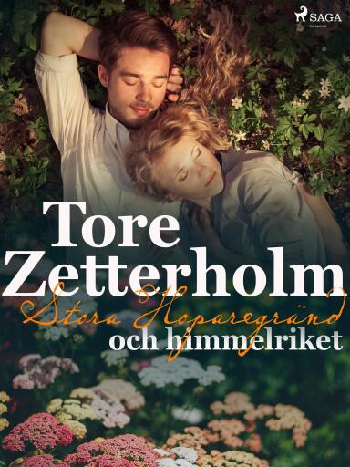 Portada del libro «Stora Hoparegränd och himmelriket», de Tore Zetterholm