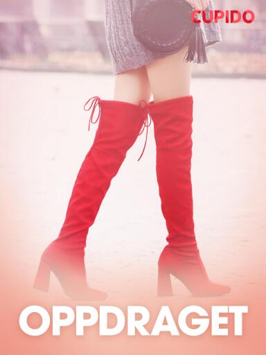 Portada del libro «Oppdraget – erotisk novelle», de Cupido