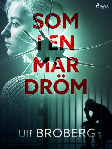 Portada del libro «Som i en mardröm», de Ulf Broberg