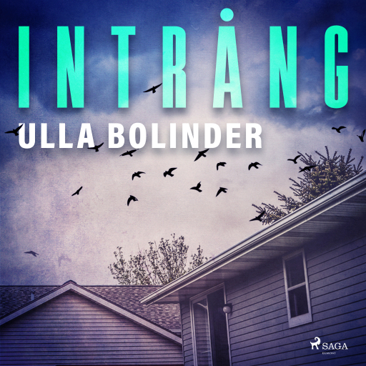 Portada del audiolibro «Intrång», de Ulla Bolinder