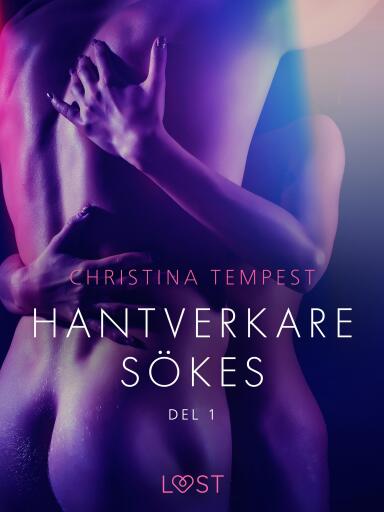Hantverkare sökes Del 1 - erotisk novell