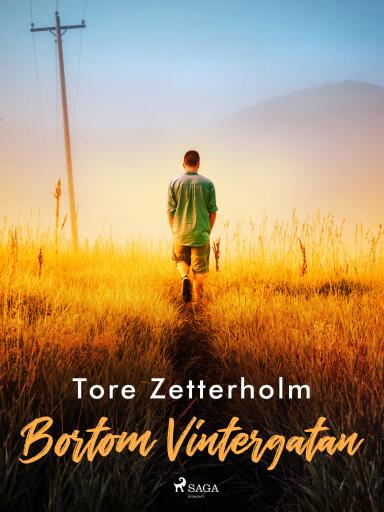 Portada del libro «Bortom Vintergatan», de Tore Zetterholm