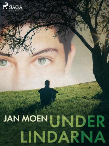 Portada del libro «Under lindarna», de Jan Moen
