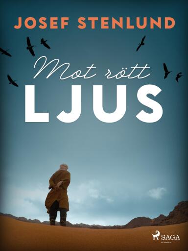 Portada del libro «Mot rött ljus», de Josef Stenlund