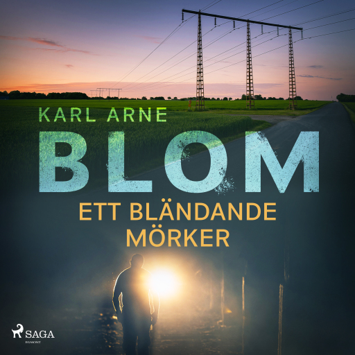 Portada del audiolibro «Ett bländande mörker», de Karl Arne Blom